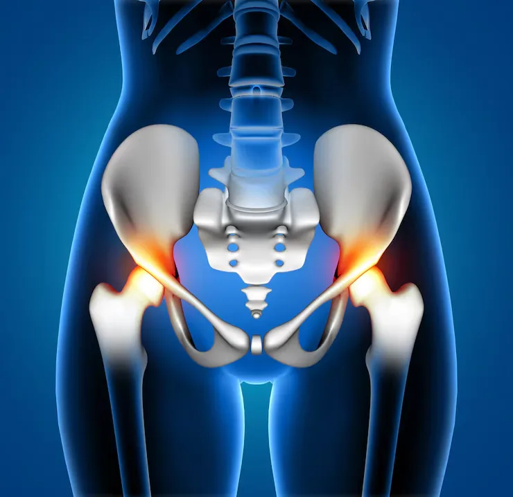 A rendered pelvis with the joints lit up