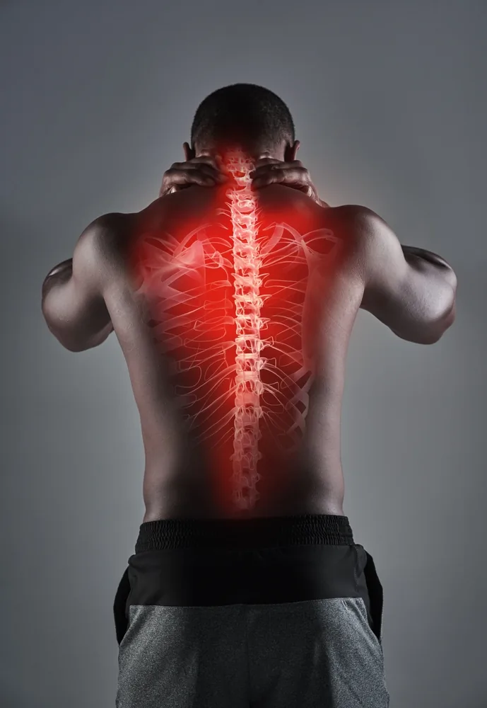 A back with the line of the spine lit through it